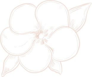 flower-diet and Nutrition-1
